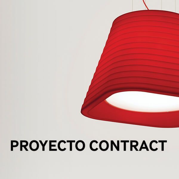 Brigit in “Proyecto Contract”